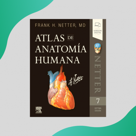 NETTER - ATLAS DE ANATOMÍA HUMANA 7ED - ELSEVIER